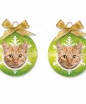 2x stuks huisdieren dieren kerstballen kat poes rood tabby 8 cm